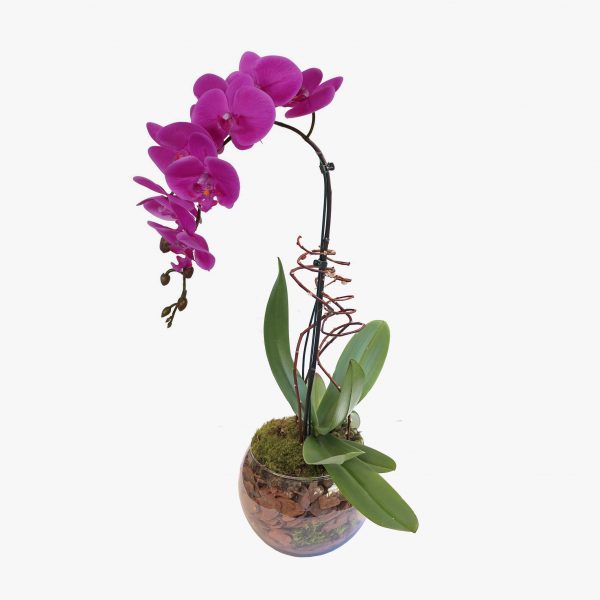 arranjo_orquidea_1_haste