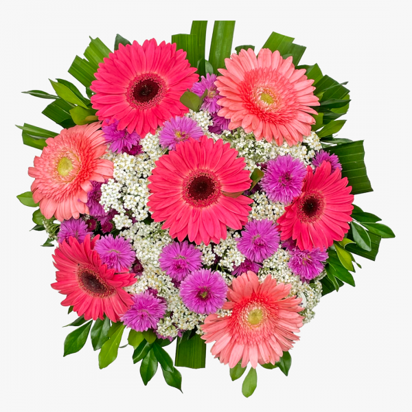 buque_gerberas_004