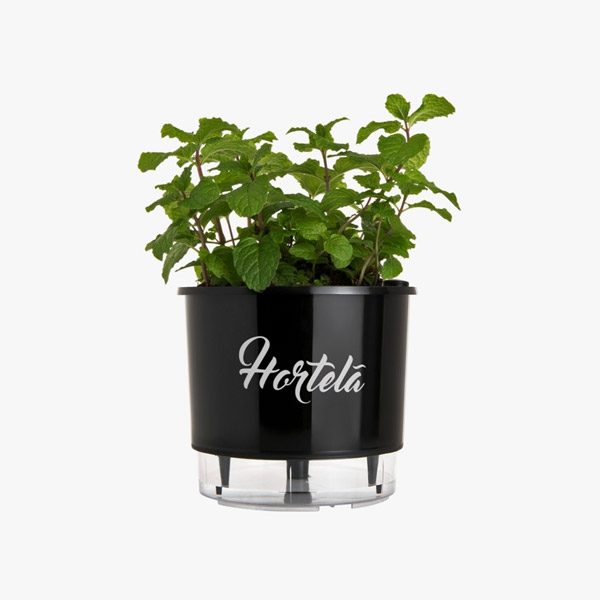 vaso_autoirrigavel_gourmet_02