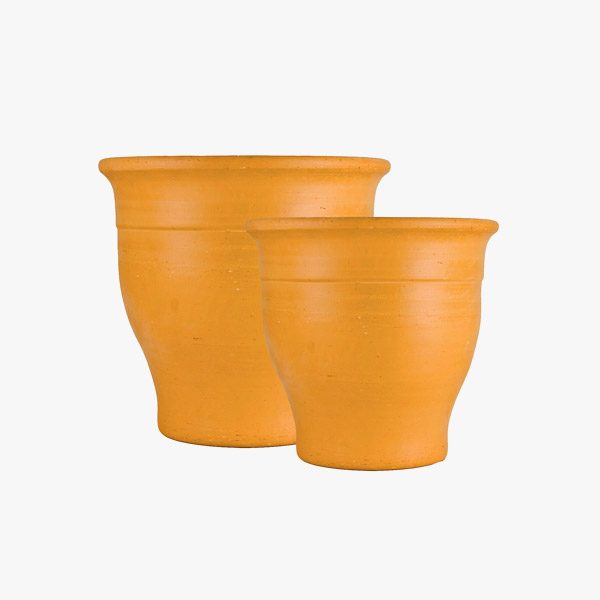 vaso_barro_ficus