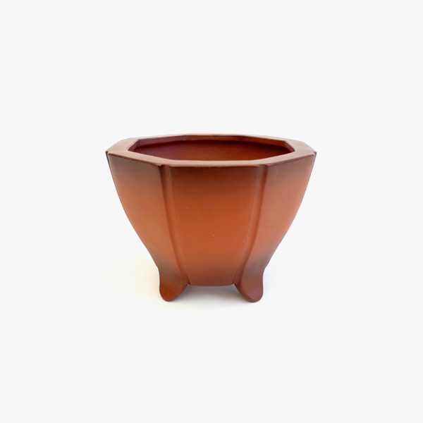 vaso_bonsai_jb3146