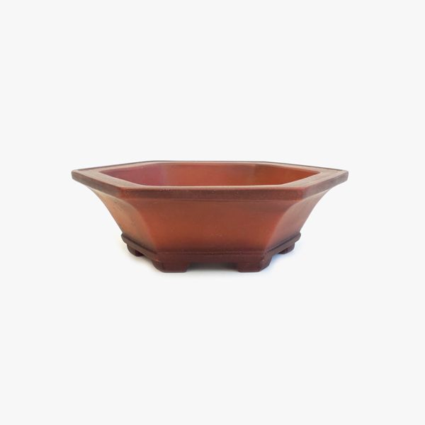 vaso_bonsai_jb3189