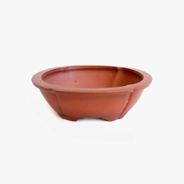 vaso_bonsai_jf3055
