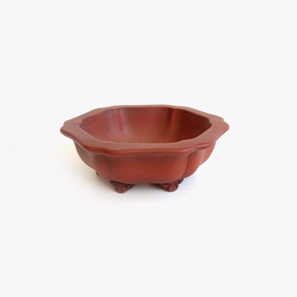 vaso_bonsai_jf3068