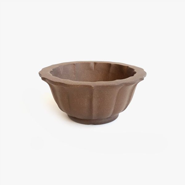 vaso_bonsai_js2108